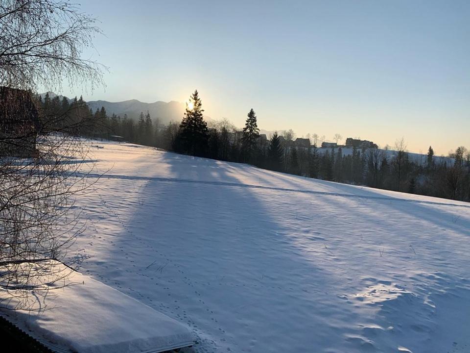 Domek Slebodny Uplaz Zakopane Esterno foto