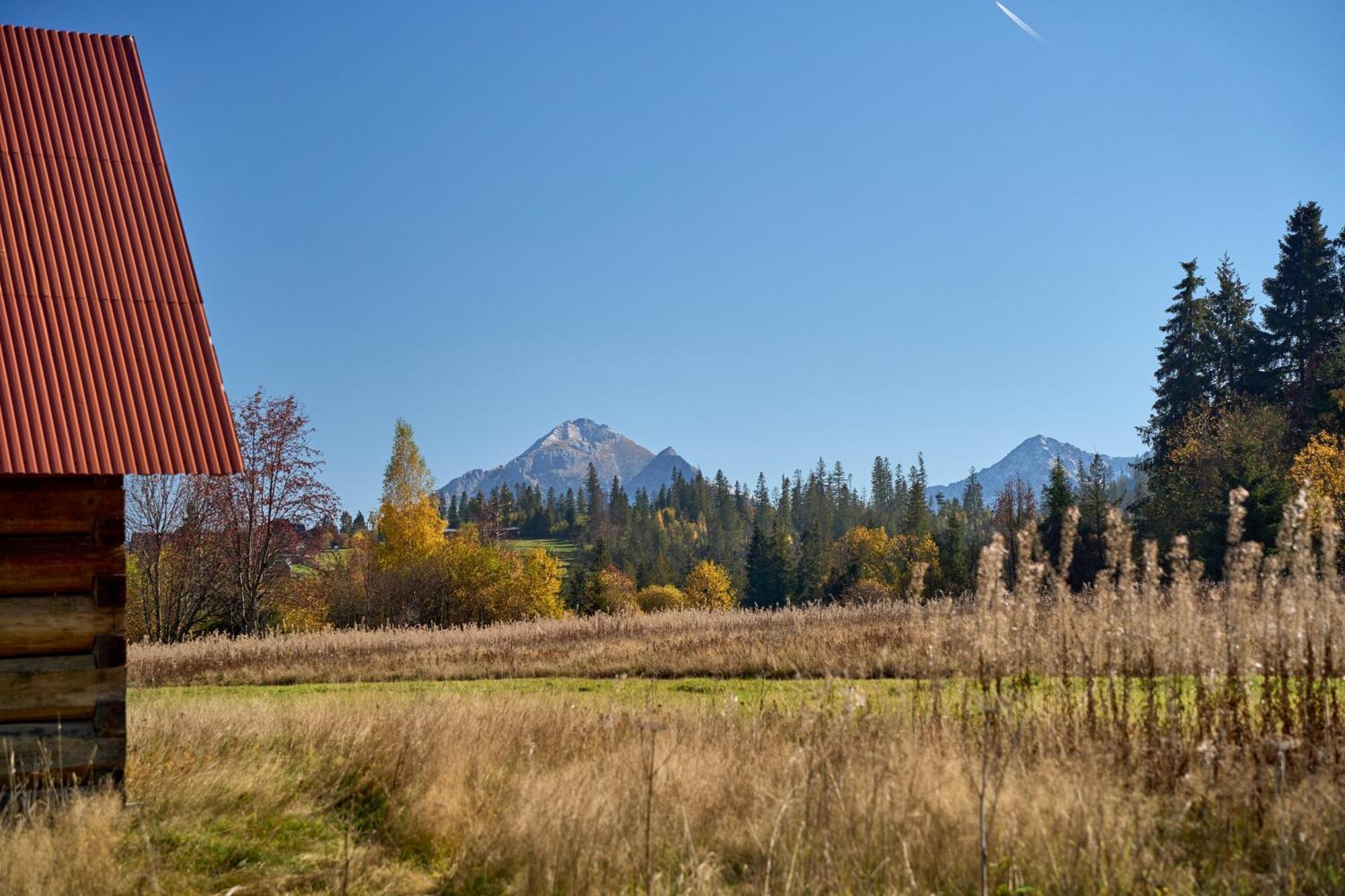 Domek Slebodny Uplaz Zakopane Esterno foto