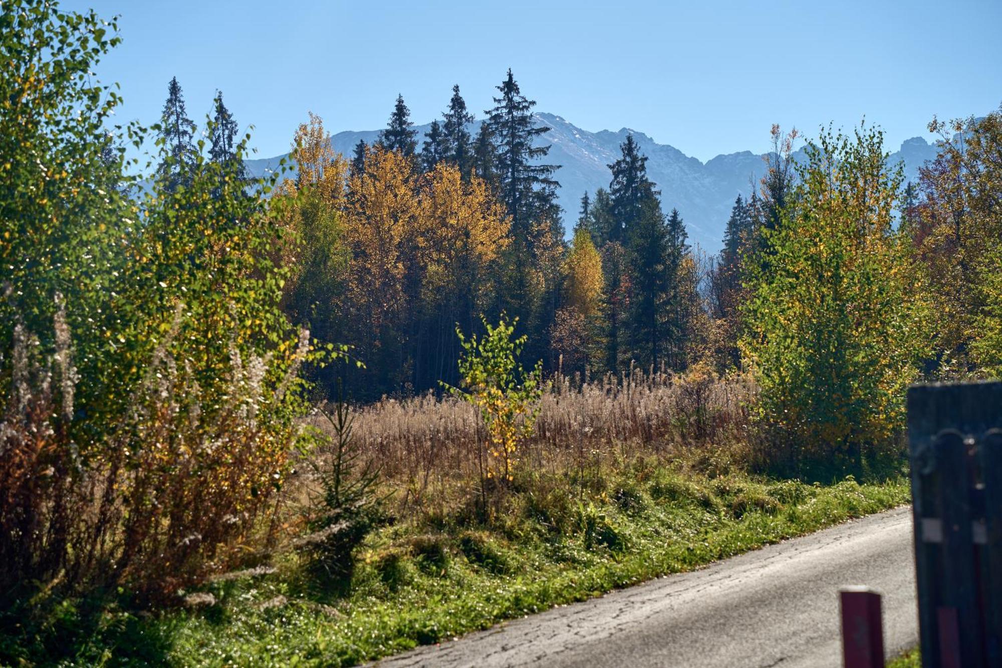 Domek Slebodny Uplaz Zakopane Esterno foto