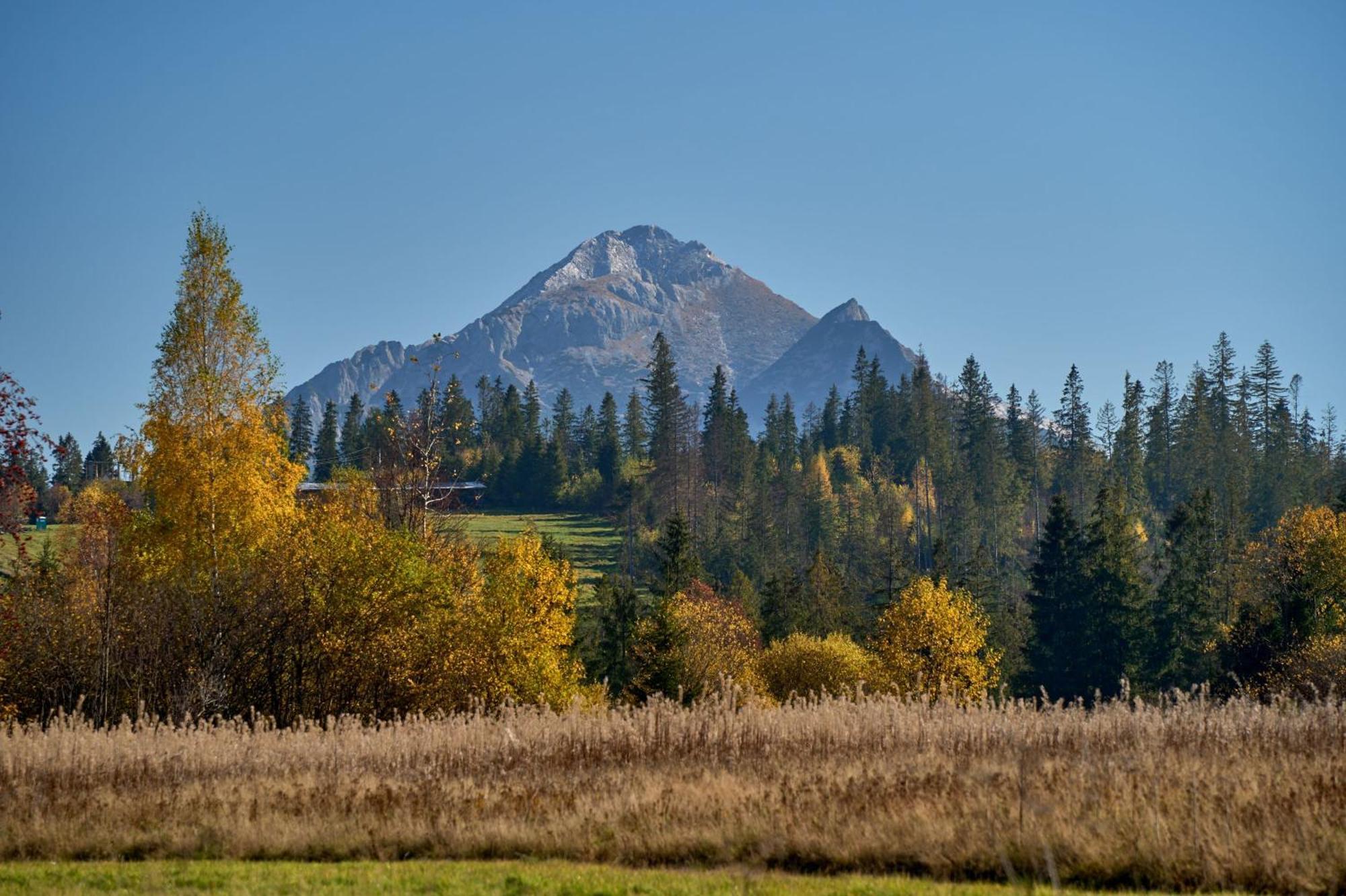 Domek Slebodny Uplaz Zakopane Esterno foto